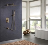 Interior Blue Brushed Gold Tub and Shower Set.JPG